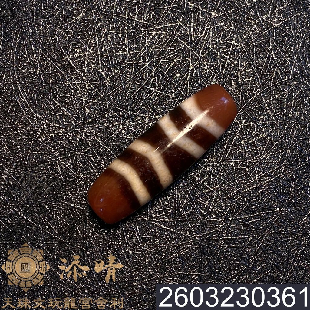 2603230361