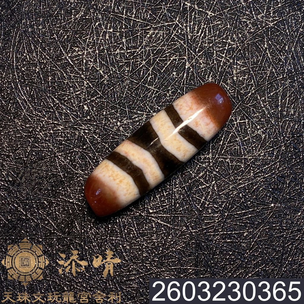 2603230365