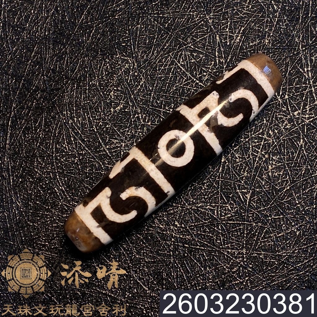 2603230381