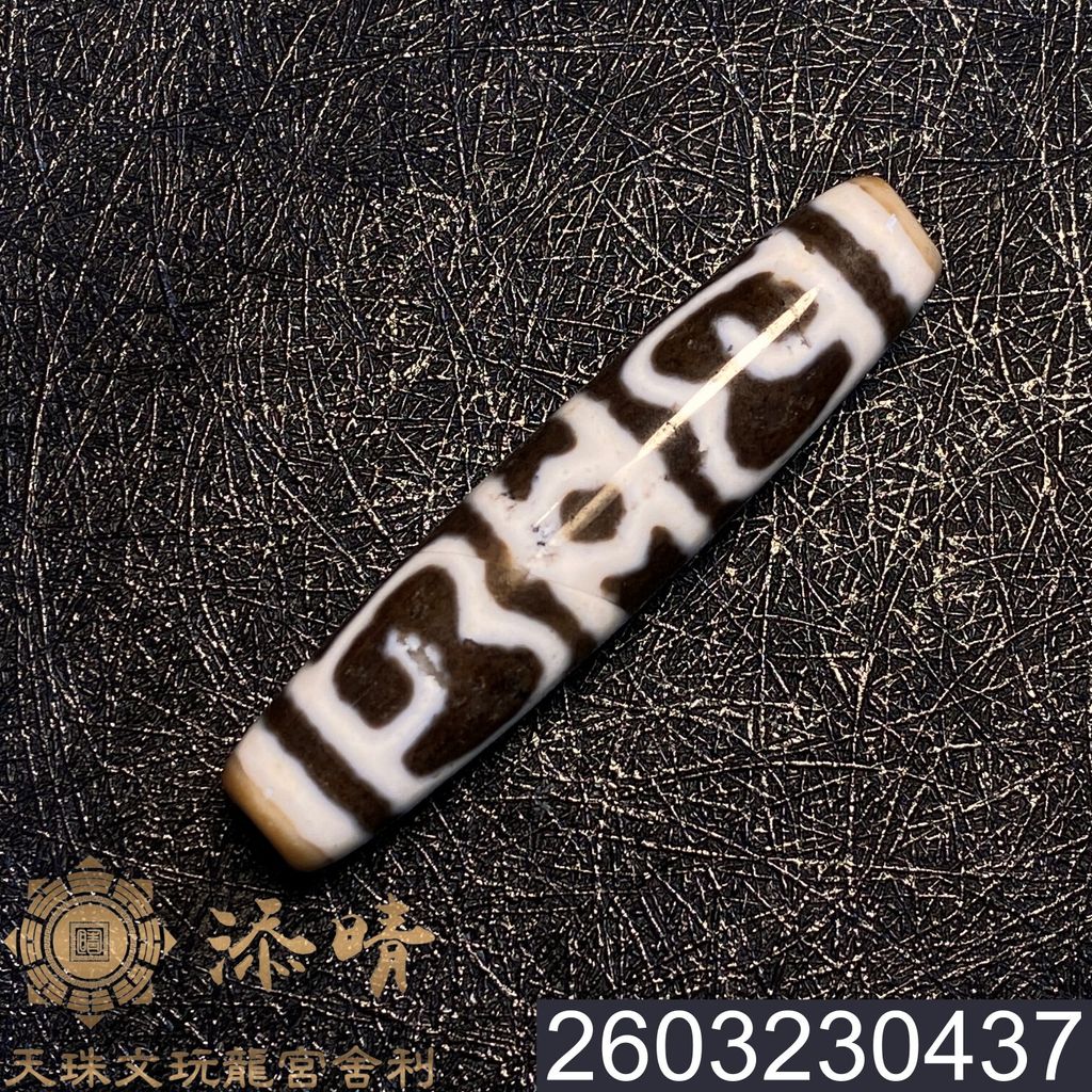 2603230437