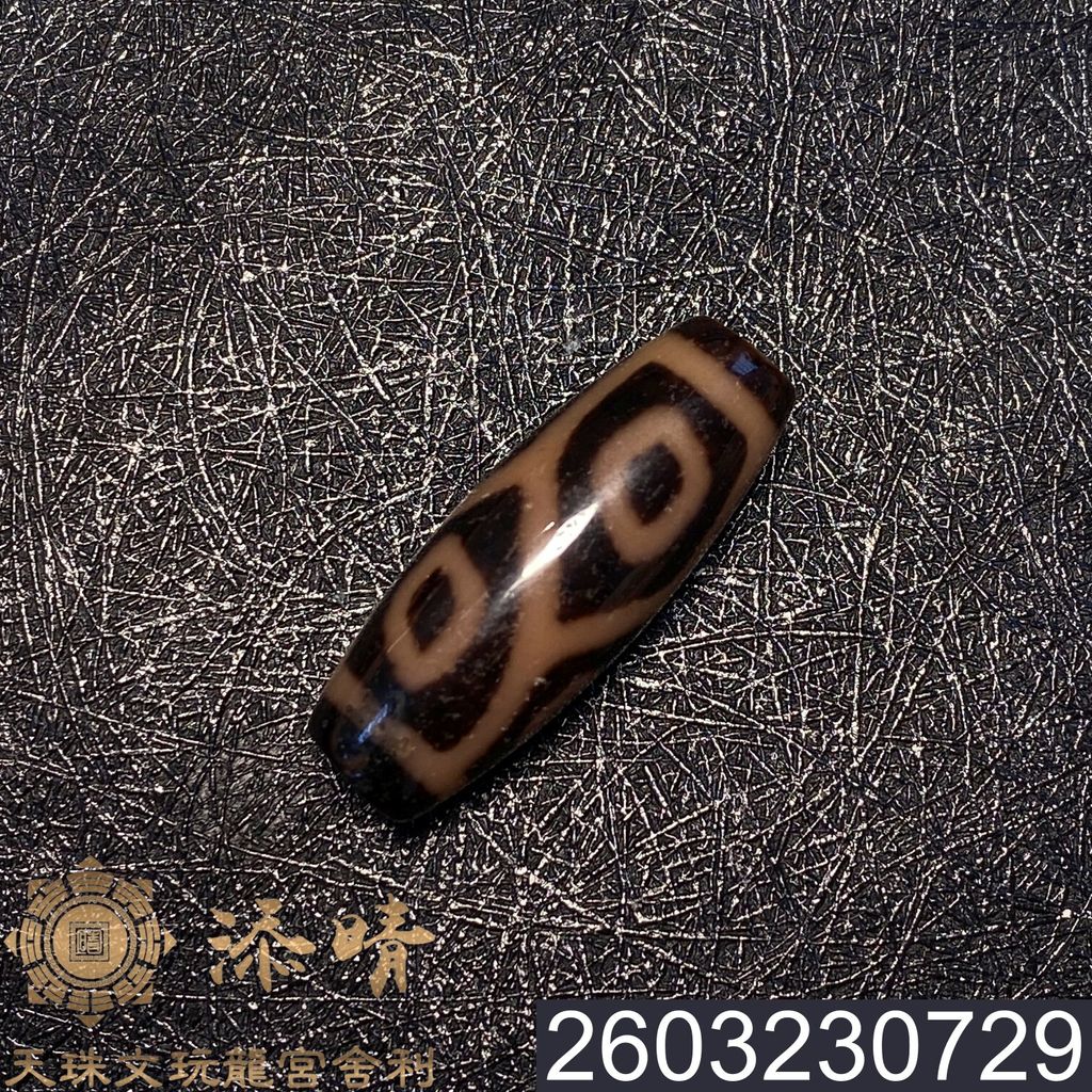 2603230729