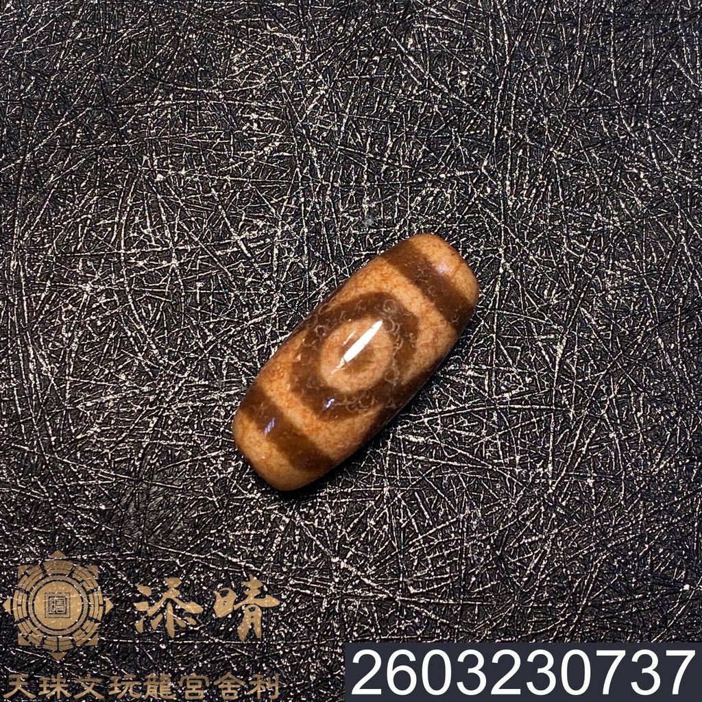 2603230737
