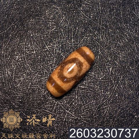 2603230737