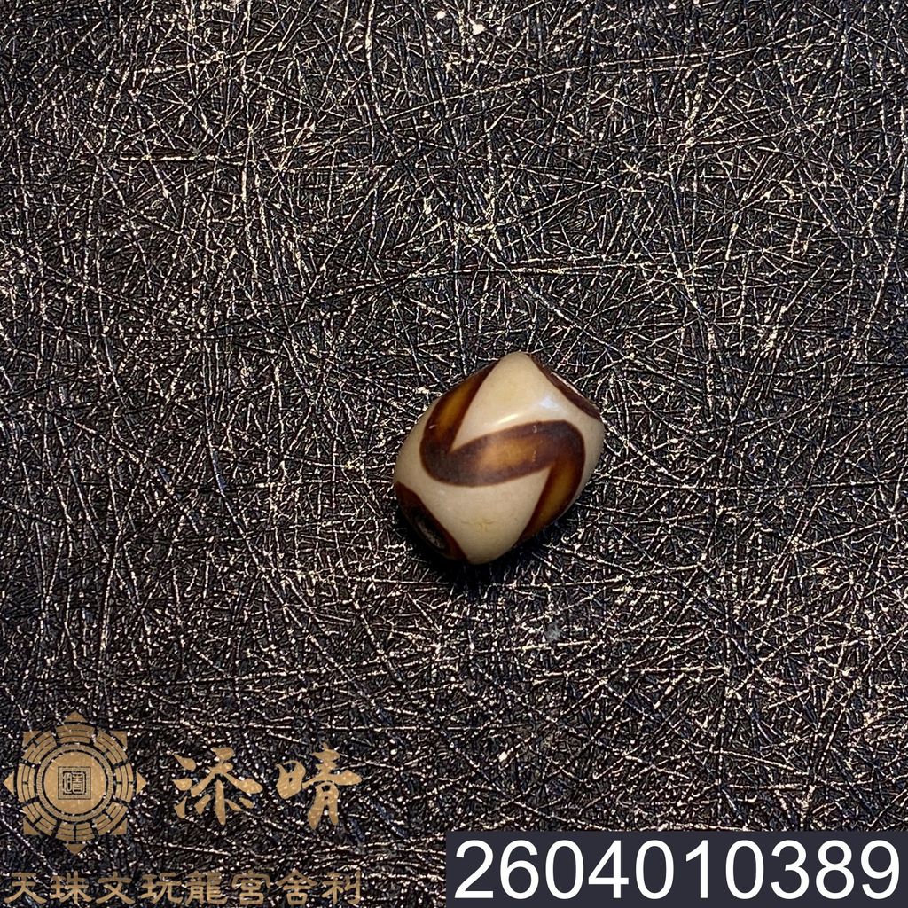 2604010389
