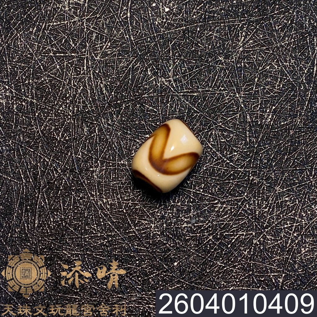 2604010409