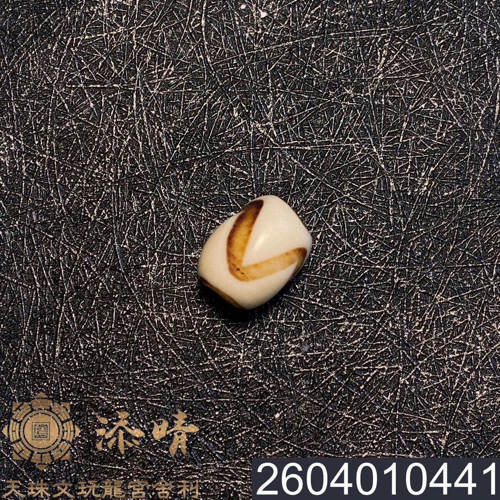 2604010441