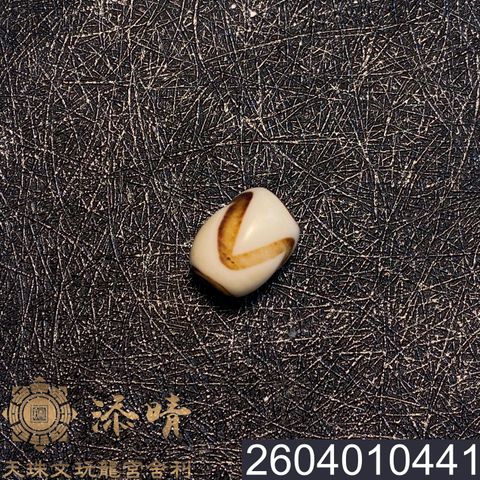 2604010441