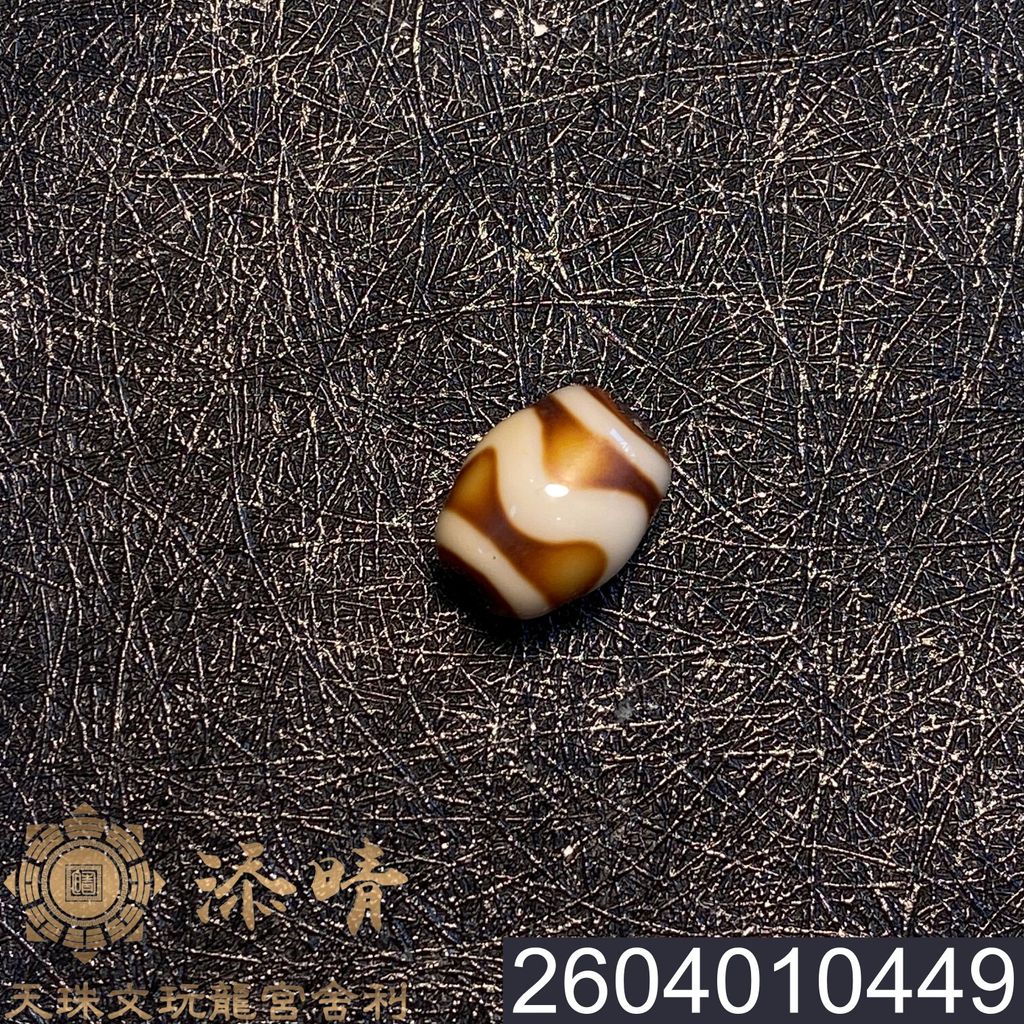 2604010449
