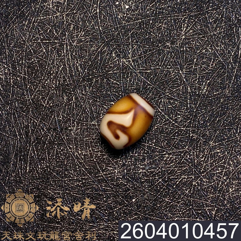 2604010457