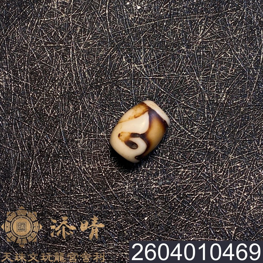 2604010469