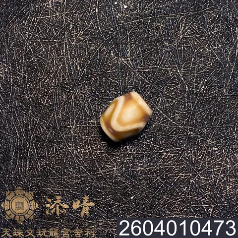 2604010473