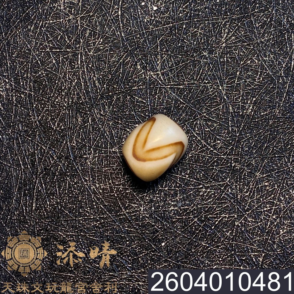 2604010481