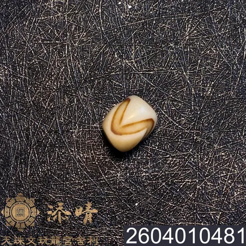2604010481