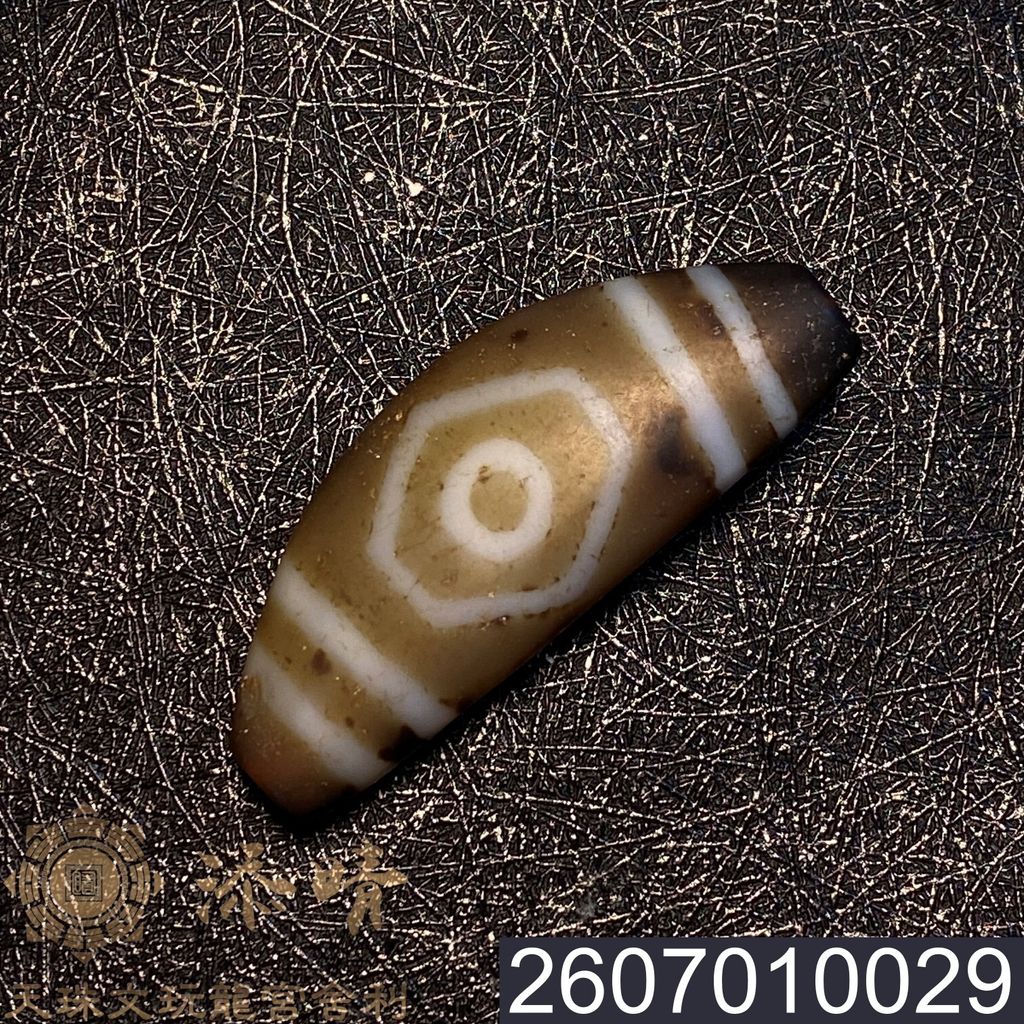 2607010029