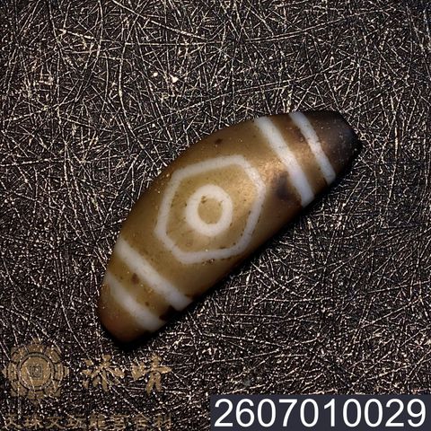 2607010029