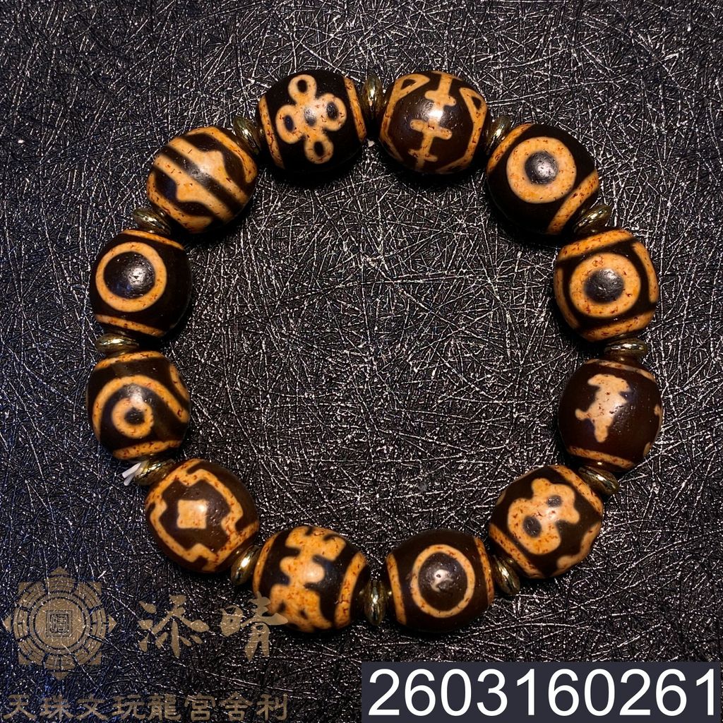 2603160261