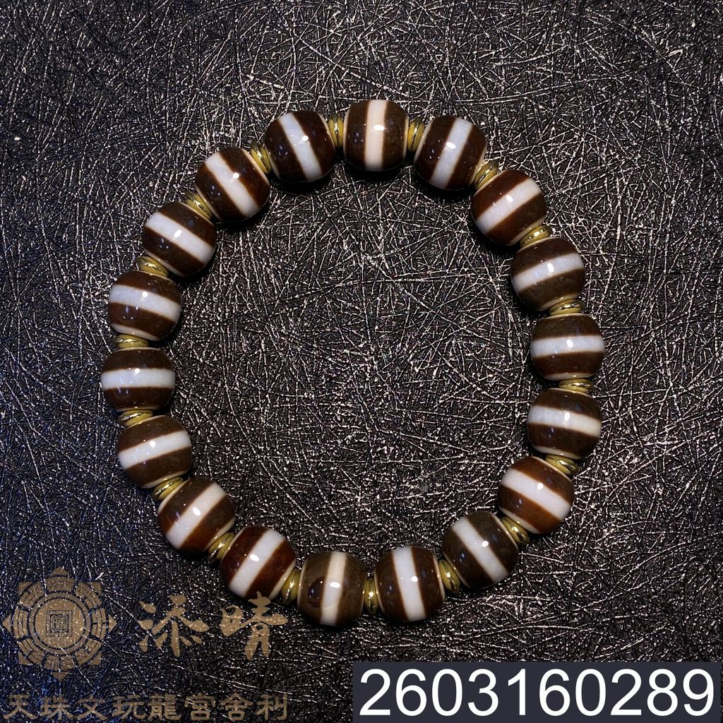 2603160289