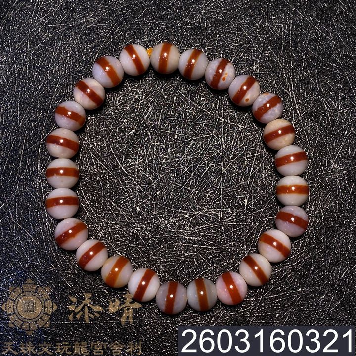 2603160321
