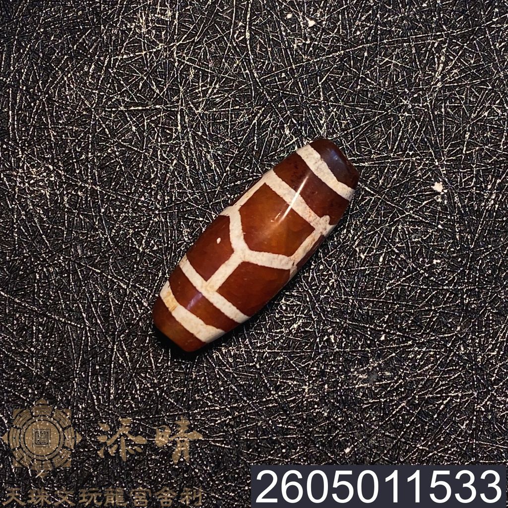 2605011533