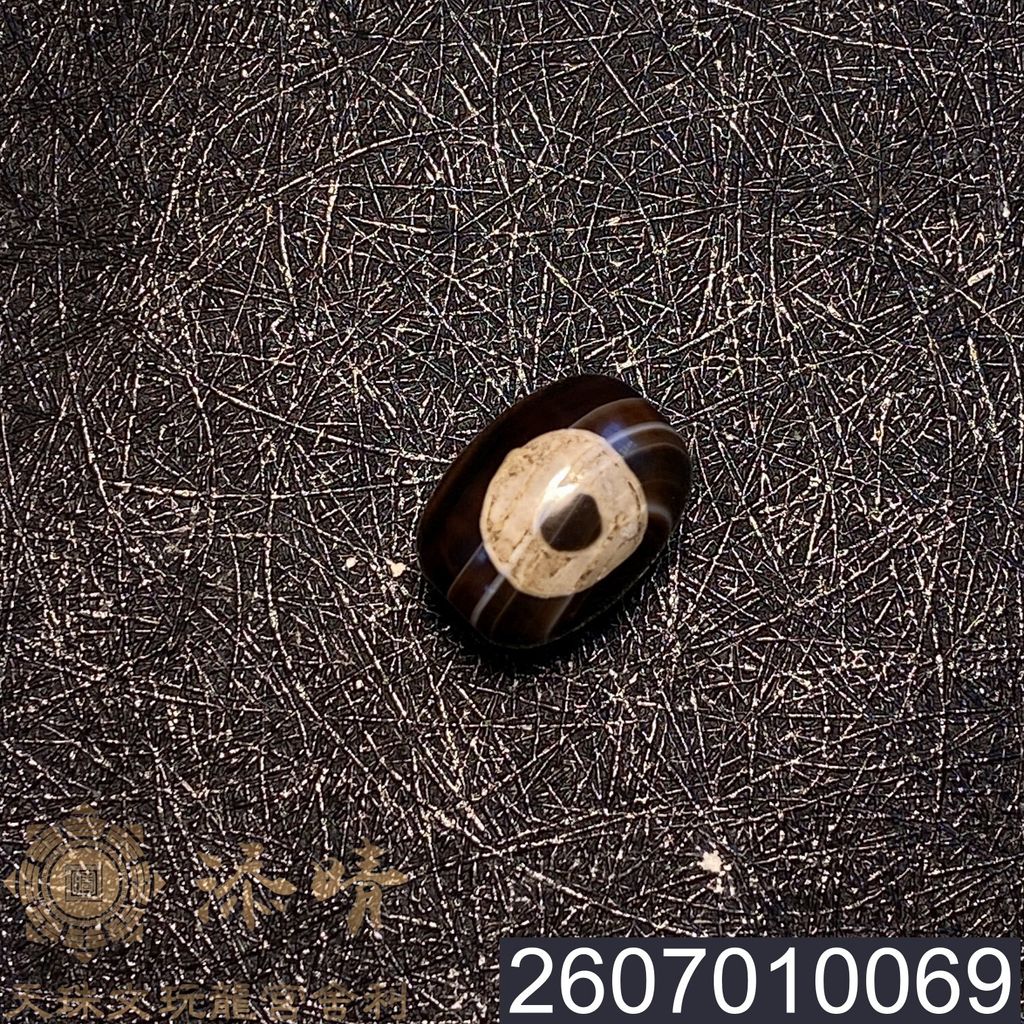 2607010069