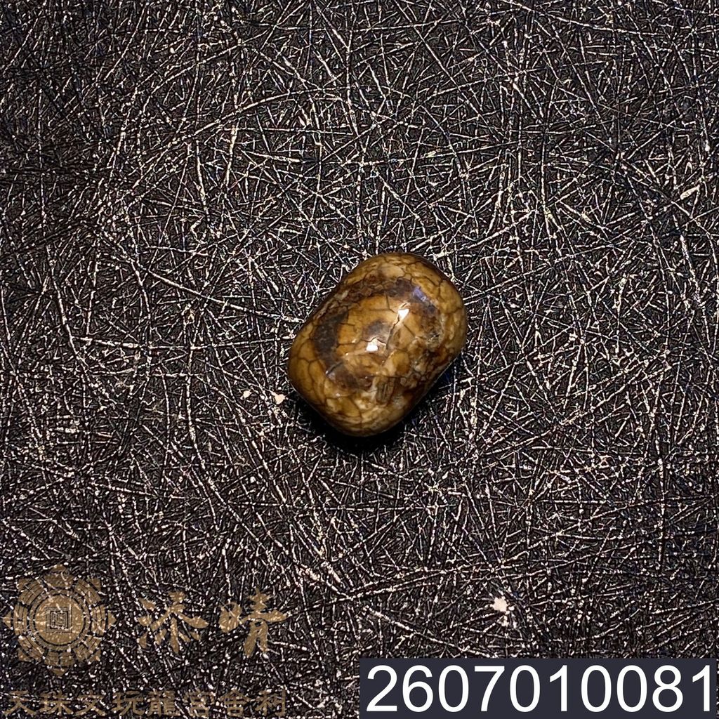 2607010081