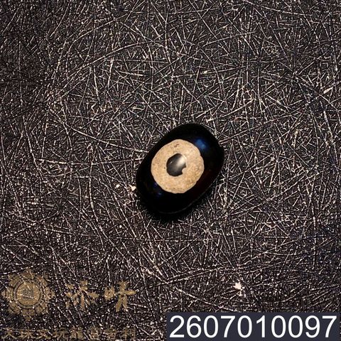 2607010097
