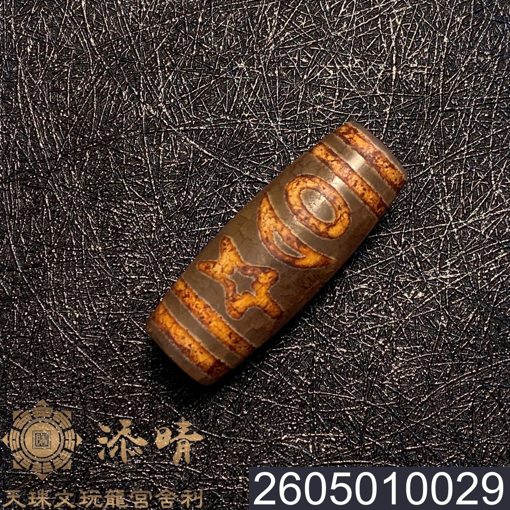 2605010029