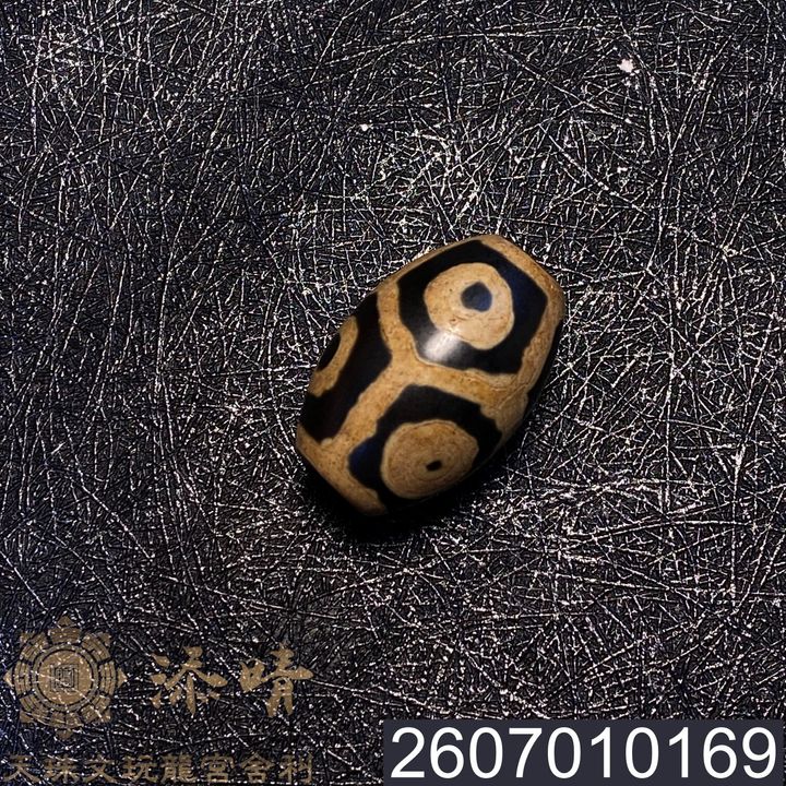 2607010169