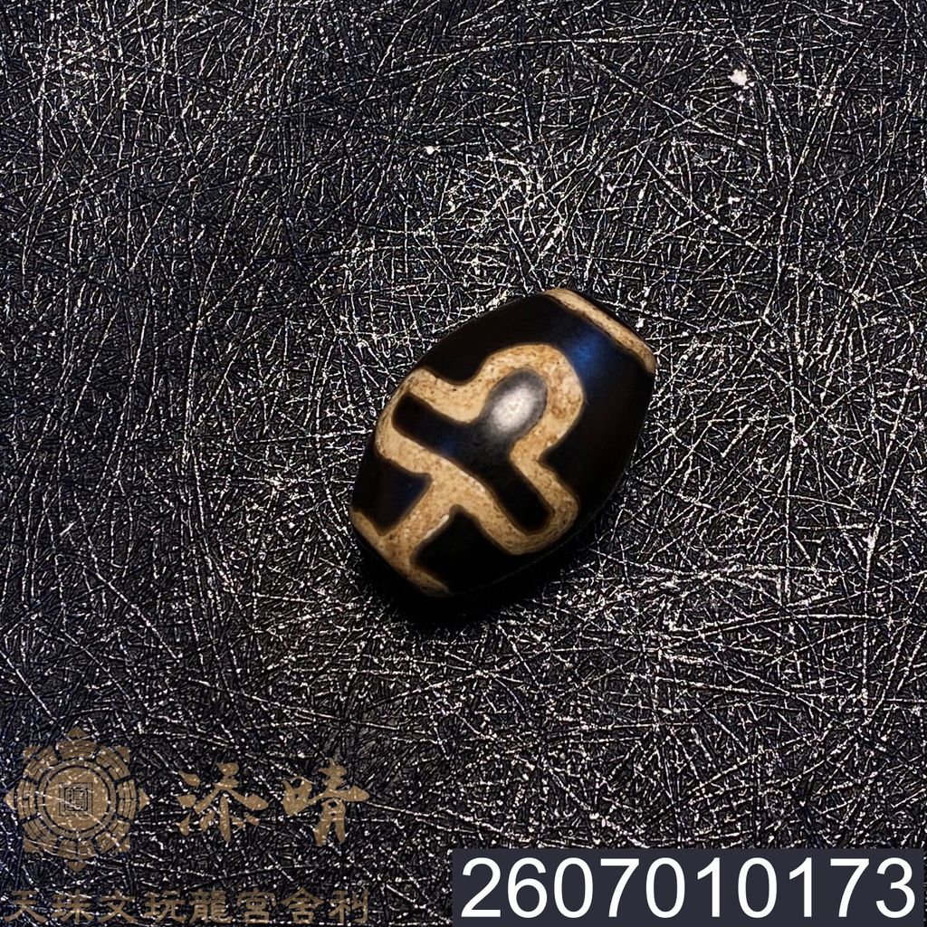 2607010173