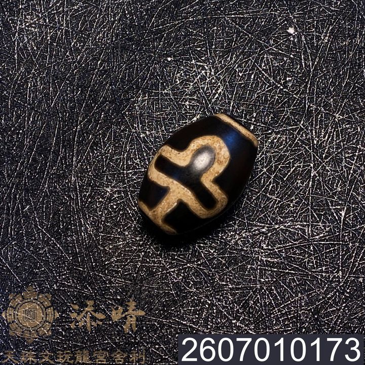 2607010173