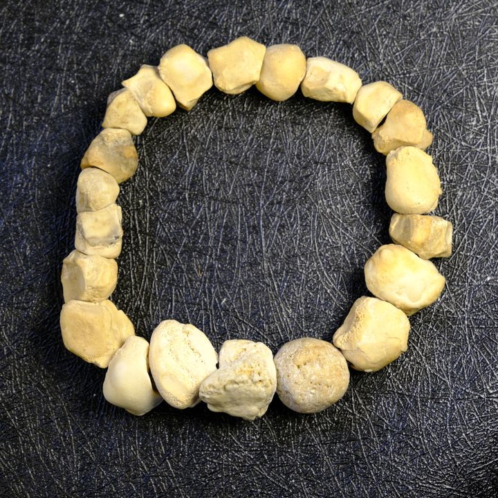 龍宮舍利牙舍利手鍊（2600） (1)