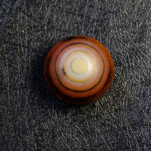DSCF9080