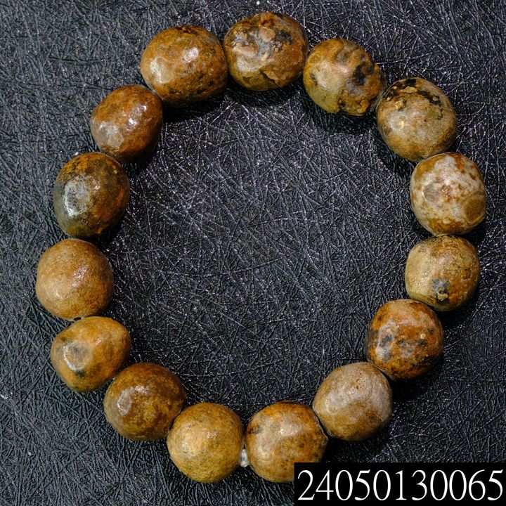 24050130065