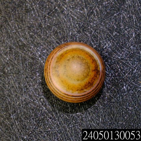 24050130053