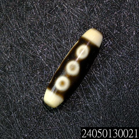 24050130021
