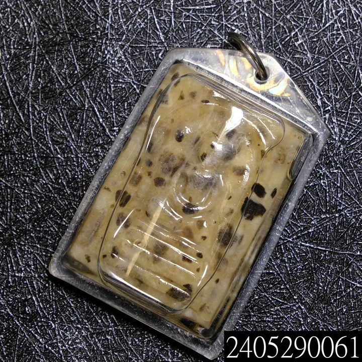 2405290061