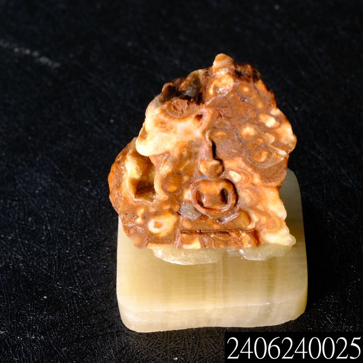 2406240025