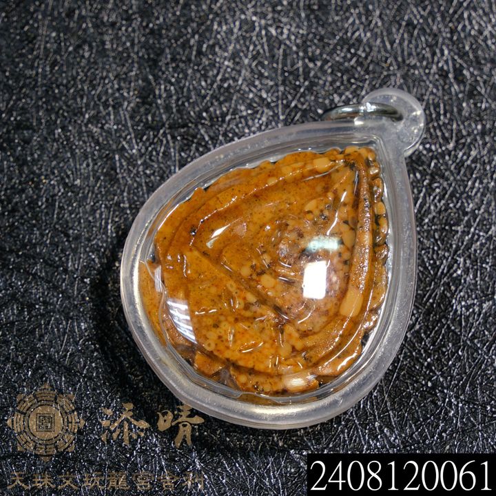 2408120061