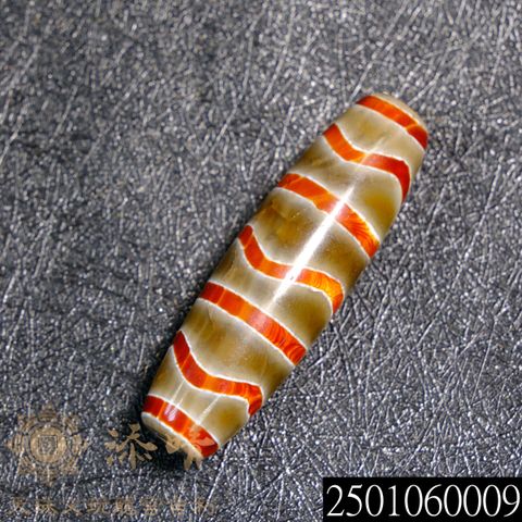 2501060009