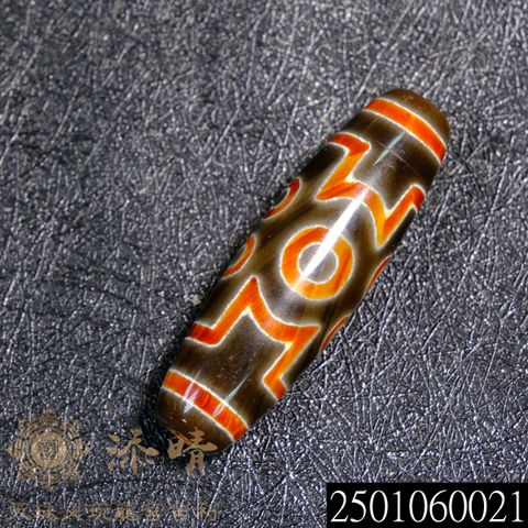 2501060021