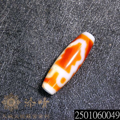 2501060049
