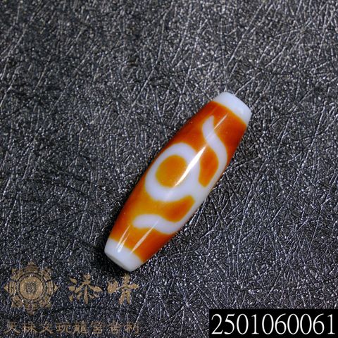 2501060061