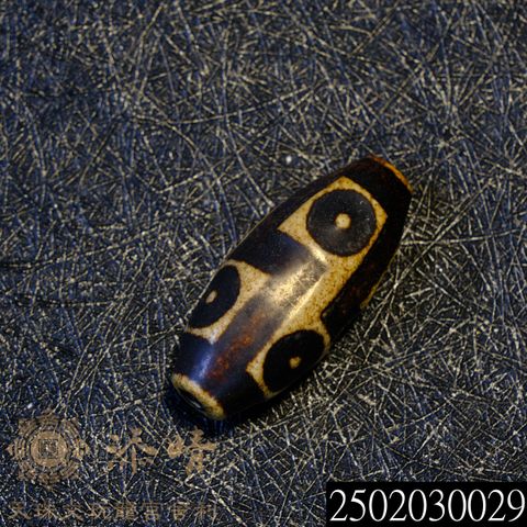 2502030029