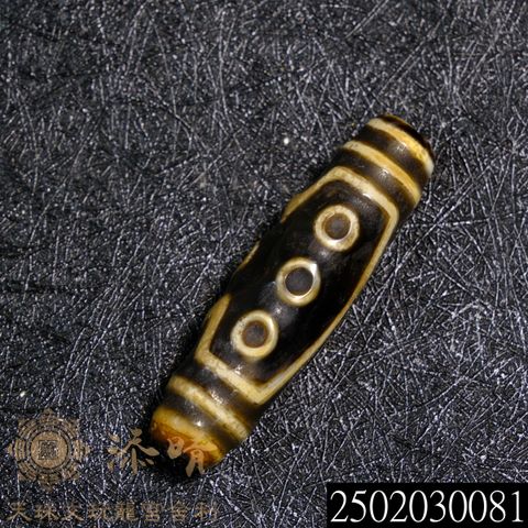 2502030081