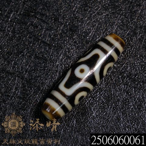 2506060061