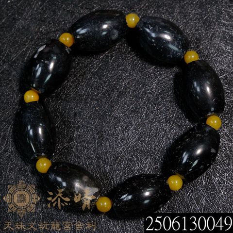 2506130049