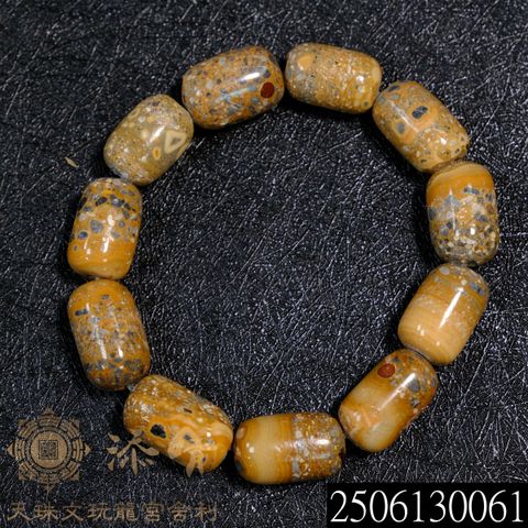 2506130061