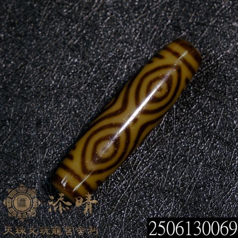 2506130069