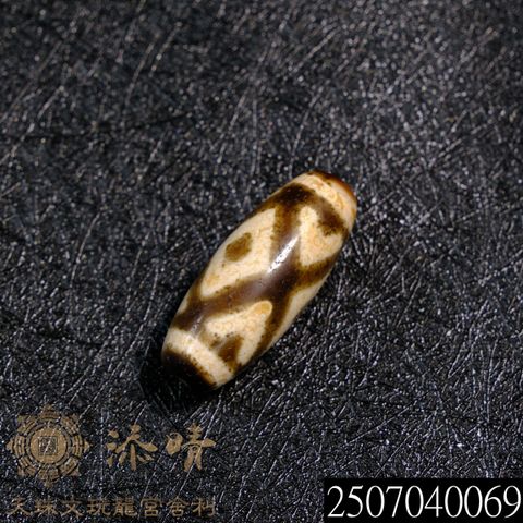2507040069
