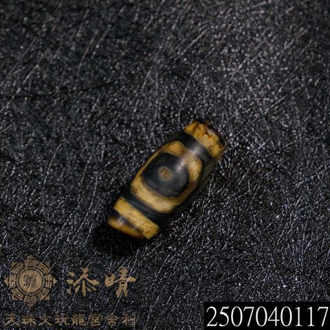2507040117